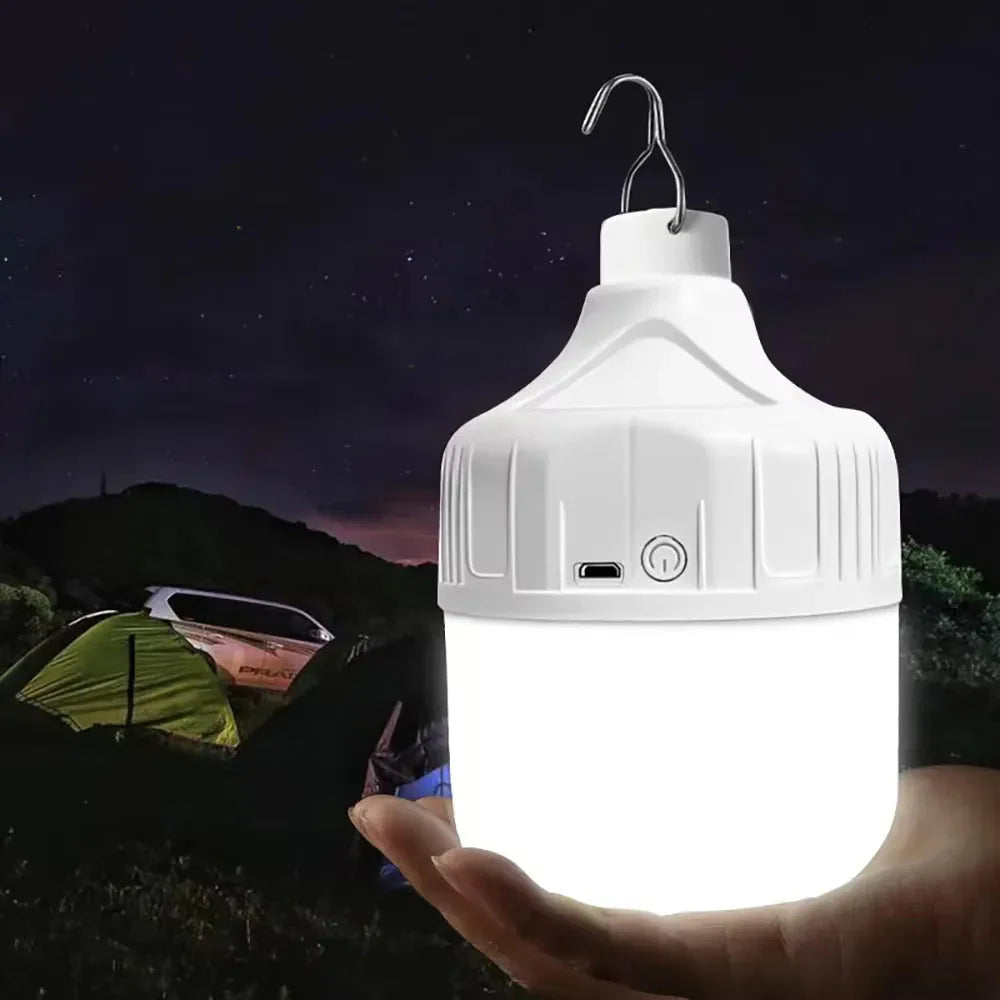 USB & Solar Powered Outdoor Light